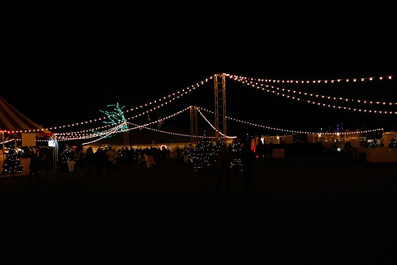 AUSTIN TRAIL OF LIGHTS