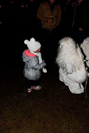 AUSTIN TRAIL OF LIGHTS