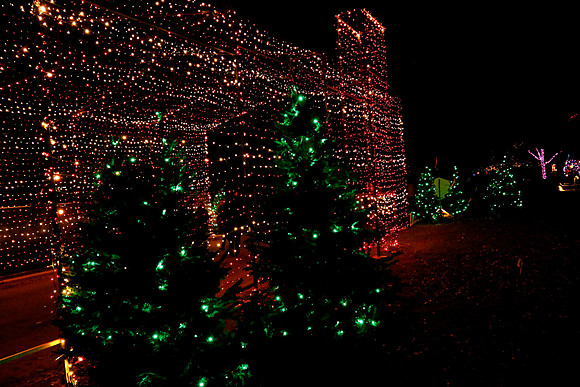 AUSTIN TRAIL OF LIGHTS