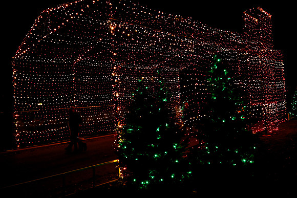 AUSTIN TRAIL OF LIGHTS