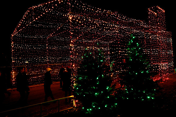 AUSTIN TRAIL OF LIGHTS