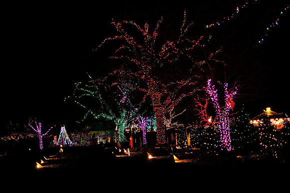 AUSTIN TRAIL OF LIGHTS
