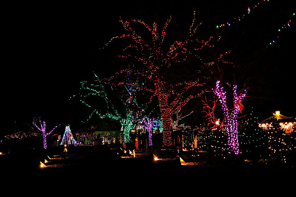 AUSTIN TRAIL OF LIGHTS