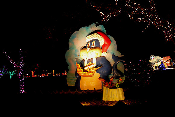 AUSTIN TRAIL OF LIGHTS