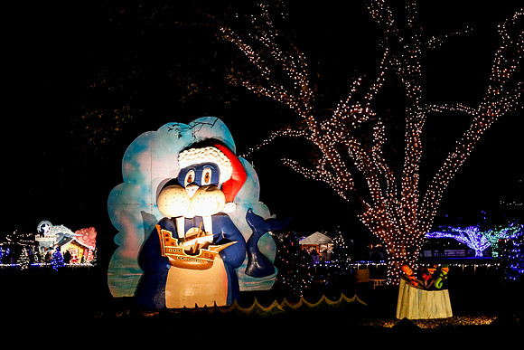 AUSTIN TRAIL OF LIGHTS