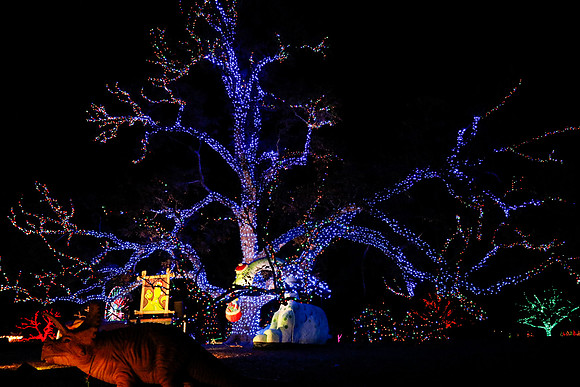 AUSTIN TRAIL OF LIGHTS