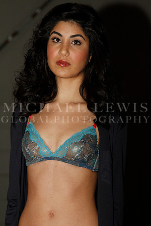 Victoria's Secret Show - Austin