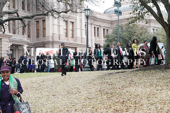 African American Legislative Summit 2015 (a) (4)