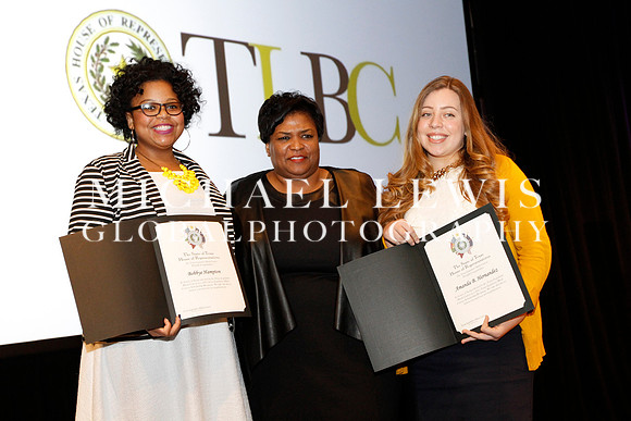 African American Legislative Summit 2015 (a) (33)