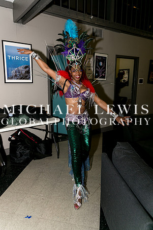 Carnaval-Brasileiro  (9)