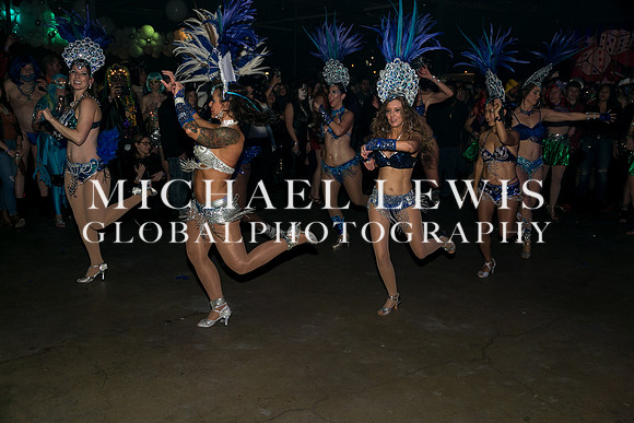 Carnaval-Brasileiro  (15)