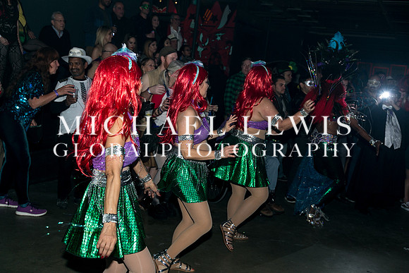 Carnaval-Brasileiro  (16)