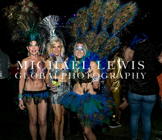 Carnaval-Brasileiro-2  (7)