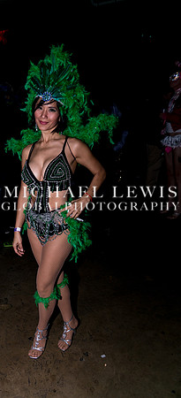 Carnaval-Brasileiro-2  (18)