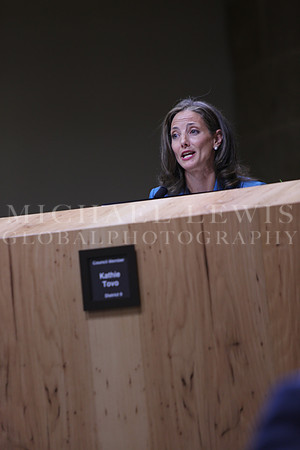 Austin City Council 2015 B (8)