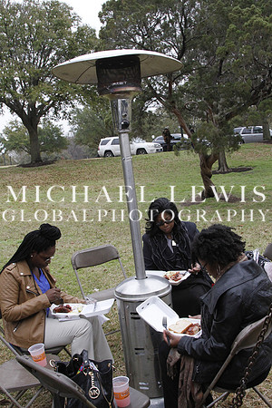 African American Legislative Summit 2015 (a) (7)