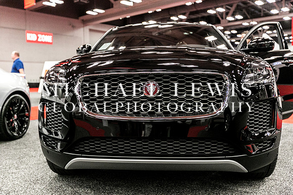 Austin-Auto-Show-2019 (2)
