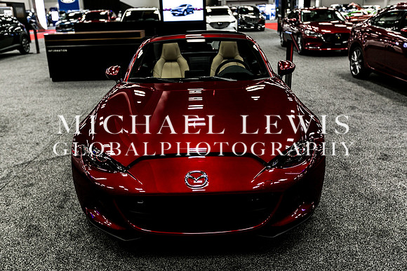 Austin-Auto-Show-2019 (122)
