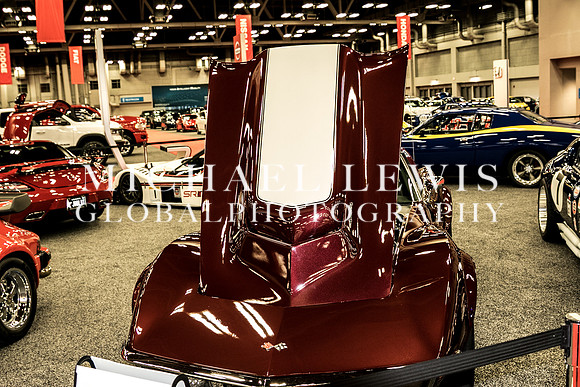 Austin-Auto-Show-2019 (182)