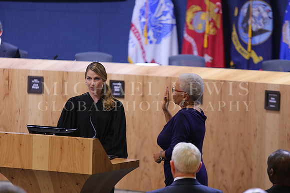 Austin City Council 2015 (5)