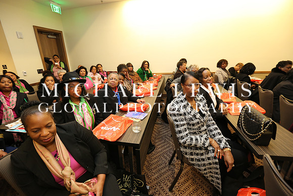 African American Legislative Summit 2015 (101)