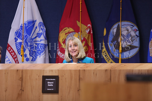 Austin City Council 2015 (55)