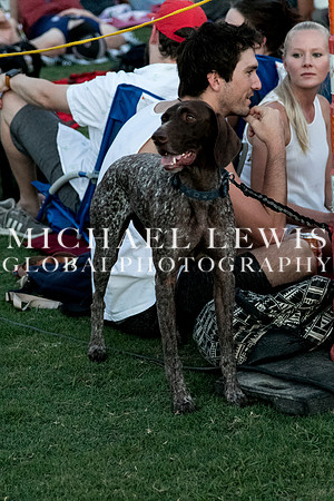 Blues_On_The_Green_Ben_Kweller (93)