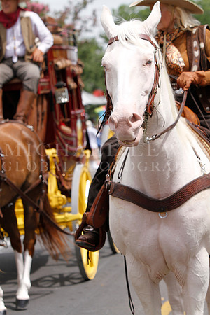 Juneteeth Parade in Austin 2014 (96)