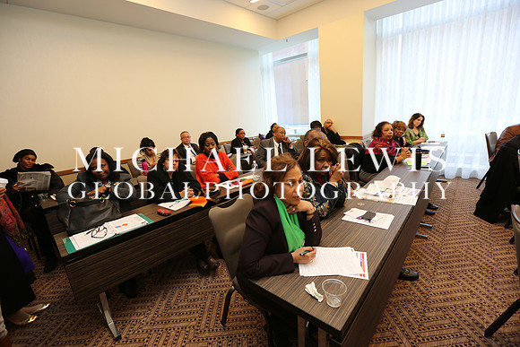 African American Legislative Summit 2015 (91)