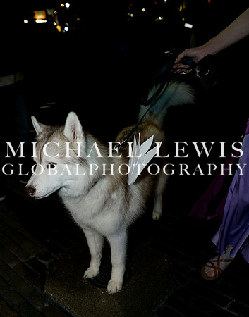 Austin_Halloween _2 (1)