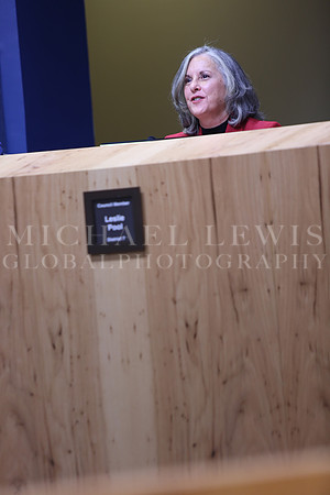 Austin City Council  2015 A (125)