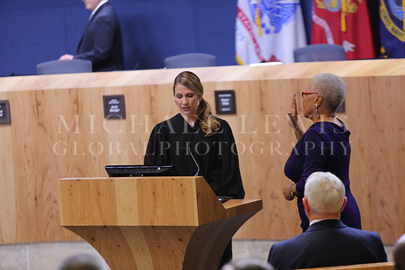 Austin City Council  2015 A (2)