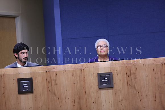 Austin City Council  2015 A (54)