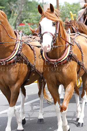 Juneteeth Parade in Austin 2014 (97)