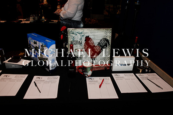 NSHMBA Founders Gala (28)