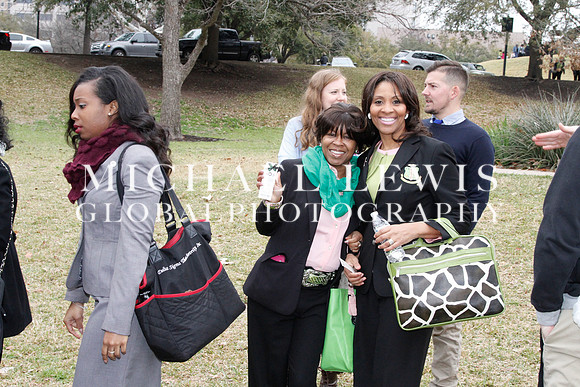 African American Legislative Summit 2015 (a) (11)