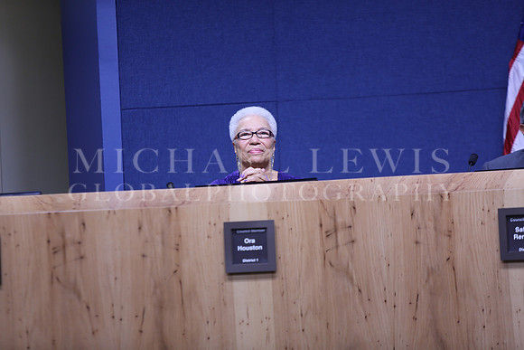 Austin City Council 2015 (45)