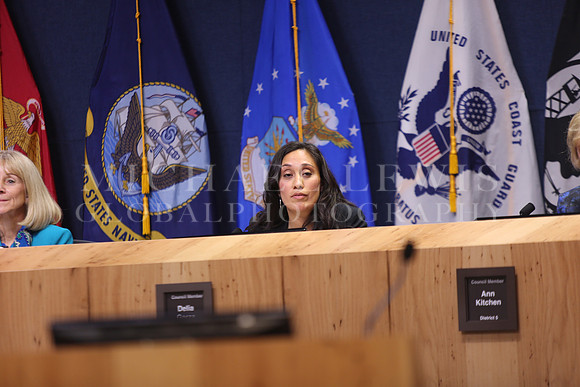 Austin City Council  2015 A (88)