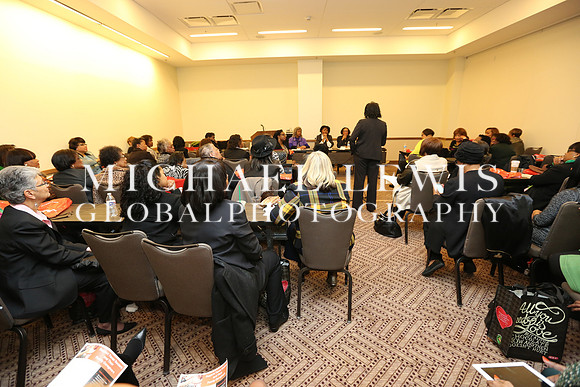 African American Legislative Summit 2015 (103)