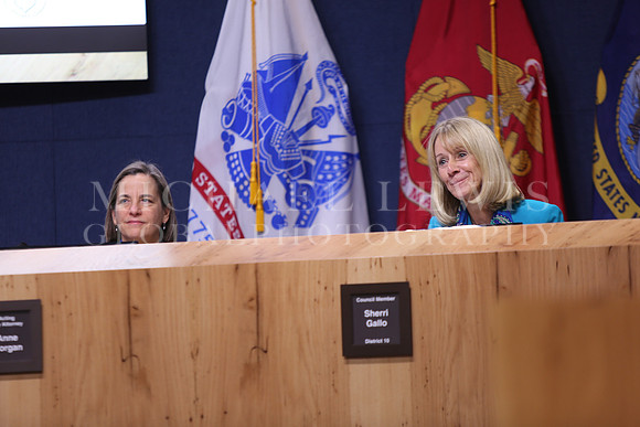 Austin City Council 2015 B (11)