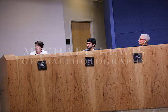Austin City Council 2015 (46)
