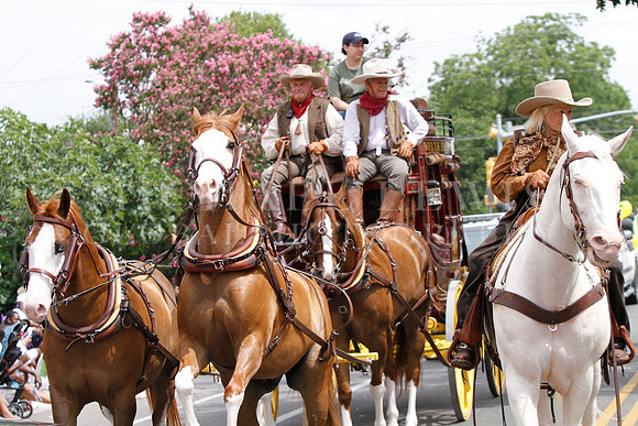 Juneteeth Parade in Austin 2014 (94)