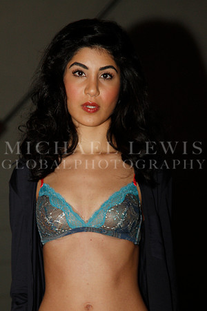 Victoria's Secret Show - Austin