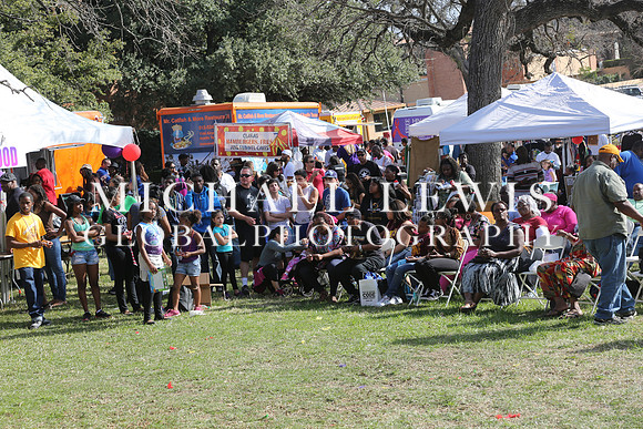 AA Heritage Fest - Howard Hewett (71)