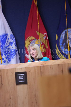 Austin City Council 2015 B (14)