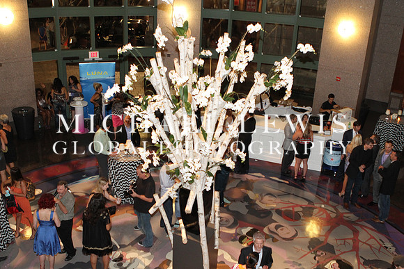 Austin Fashion Week - Shift Into Style