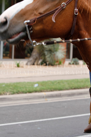 Juneteeth Parade in Austin 2014 (109)