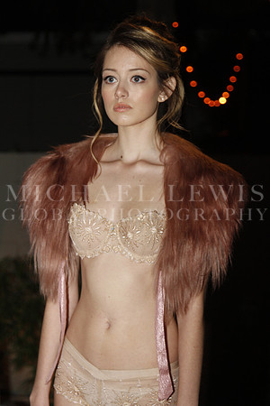 Victoria's Secret Show - Austin