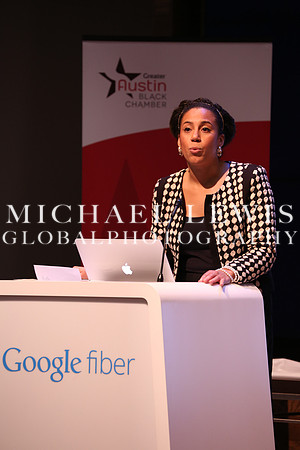 Black Elected Officials 2015 (20)