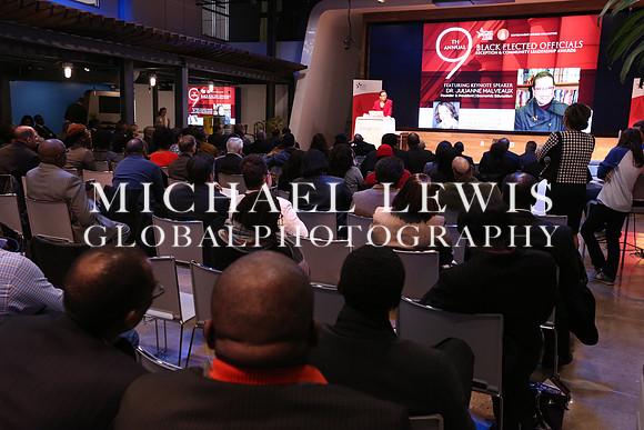 Black Elected Officials Reception 2015 (28)